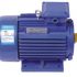 1100w220v-motor-dien-asaki-as-616.jpeg