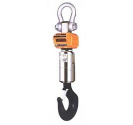 15000kg-can-treo-castoniii-co-moc-xoay-15thd.jpeg