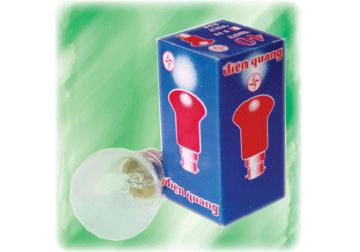 200w-bong-den-nung-sang-cong-suat-lon.jpeg