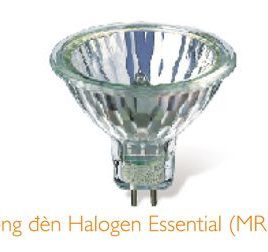 20w-bong-haloge-ess-gu53-36d-khong-co-kieng-chup.jpeg