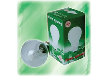 25w-240v-bong-den-nung-sang-bong-trong.jpeg