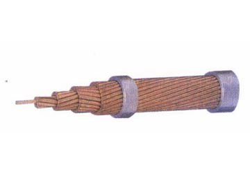 cap-dong-tran-xoan-25-mm2-72-14.jpeg