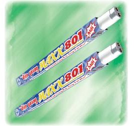 den-huynh-quang-maxx-1-2m.jpeg